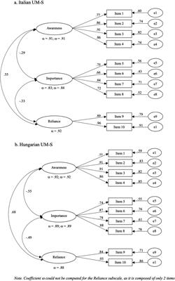 Assessing perception of mattering in a cross-cultural university context: validity and reliability of the Italian and Hungarian versions of the University Mattering Scale (UM-S)